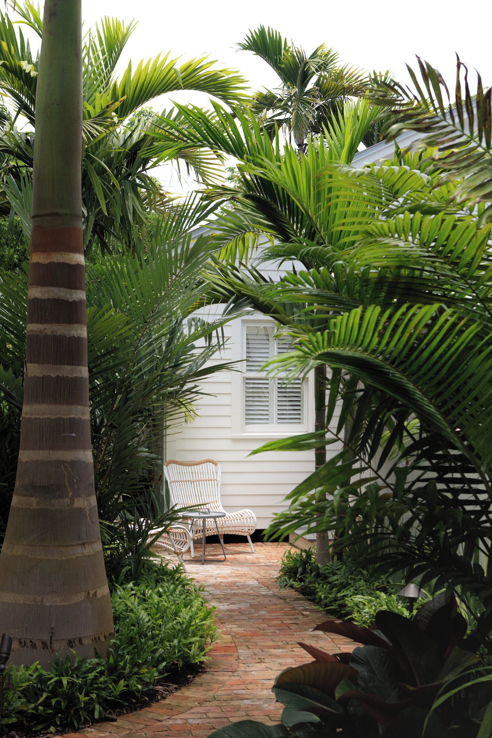 A pathway leading to a white house surrounded by lush greenery and a palm tree.