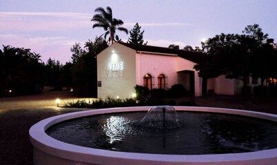 Vine Guesthouse