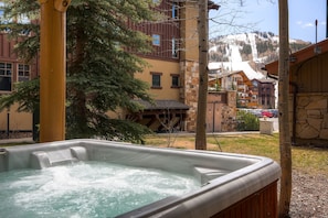 2 Bedrooms/Platinum/Private Hot Tub