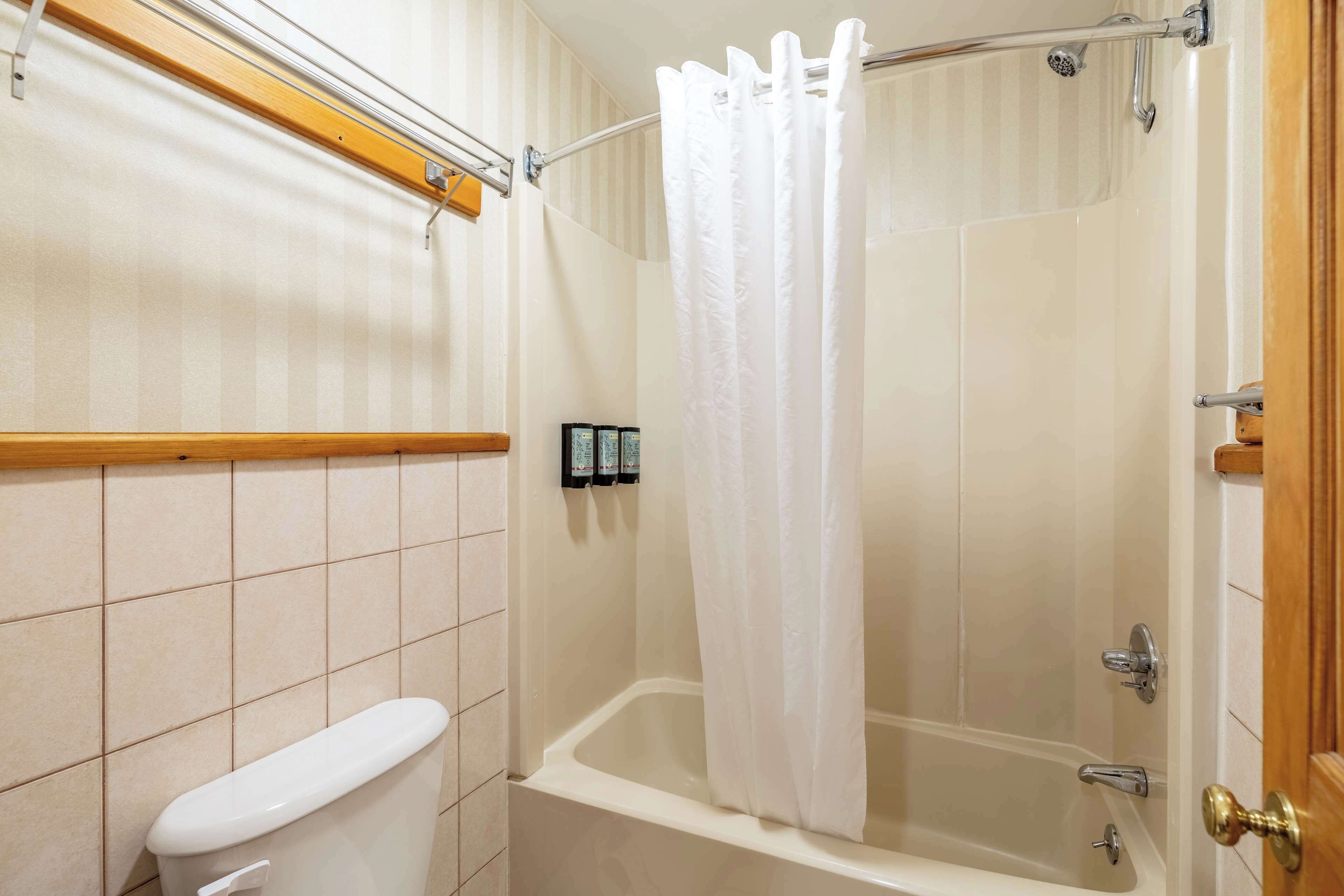 A bathroom with a toilet, a bathtub, and a shower curtain.