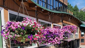 Un mur de pierre agrémenté d’un pot à fleurs suspendu, un espace extérieur aménagé avec des sièges et un bâtiment doté de grandes fenêtres.