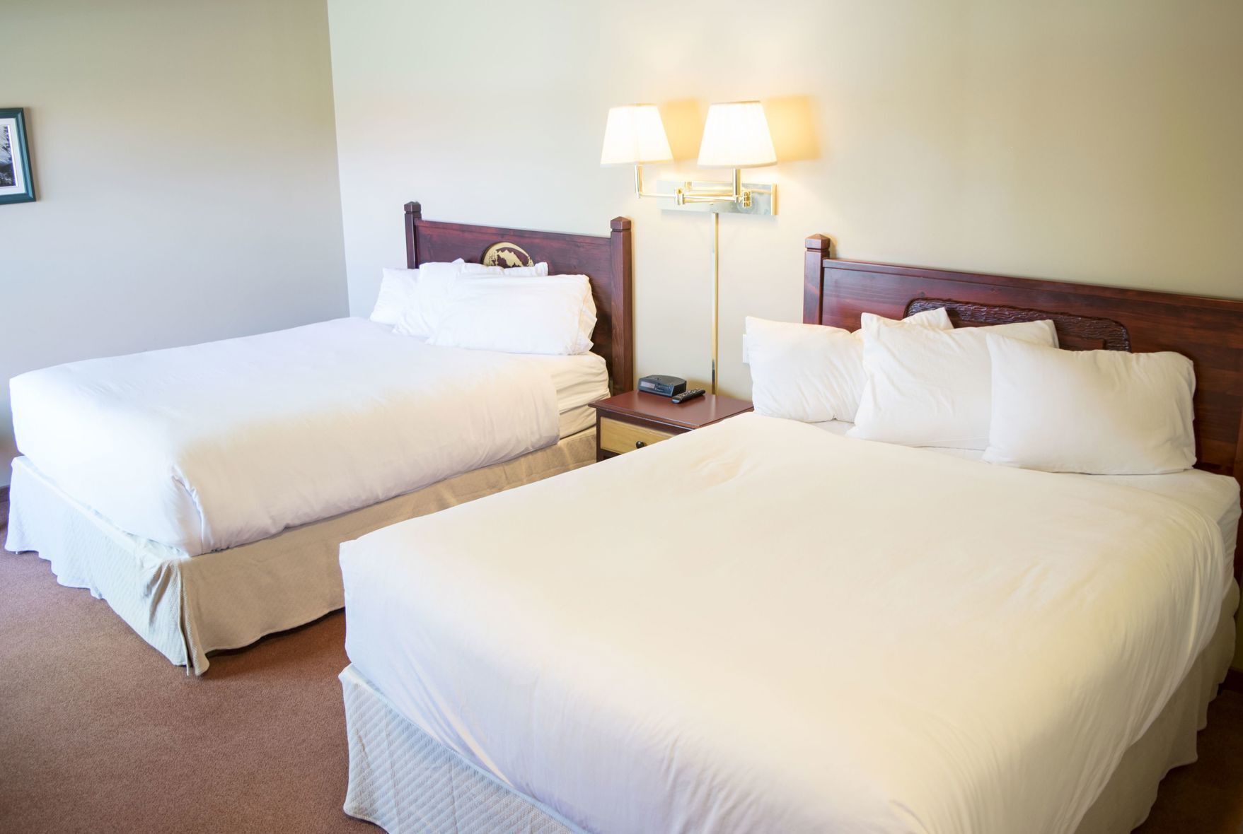 Skrivbord, strykjärn/strykbräda, gratis wi-fi och väckarklockor