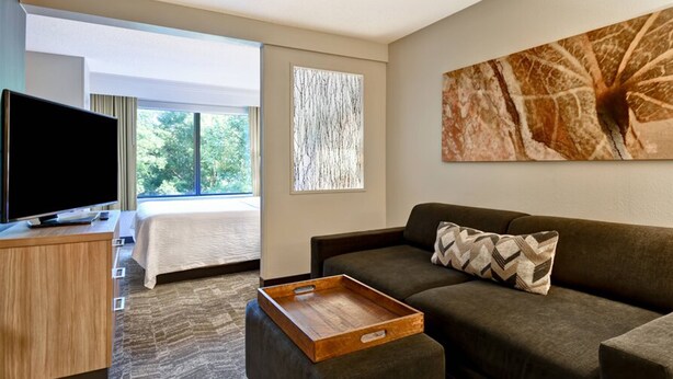 A modern hotel room with a large bed, a sofa, a wooden tray, a flat-screen TV, and artwork on the walls. - SpringHill Suites by Marriott Atlanta Kennesaw (Kennesaw)