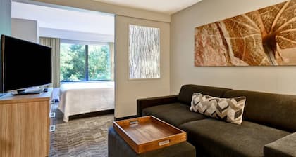 SpringHill Suites by Marriott Atlanta Kennesaw