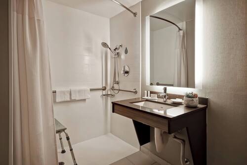 Suite, 1 King Bed with Sofa bed | Bathroom | Combined shower/bathtub, free toiletries, hair dryer, towels