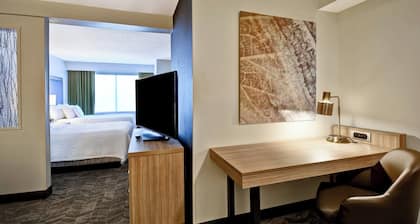 SpringHill Suites by Marriott Atlanta Kennesaw