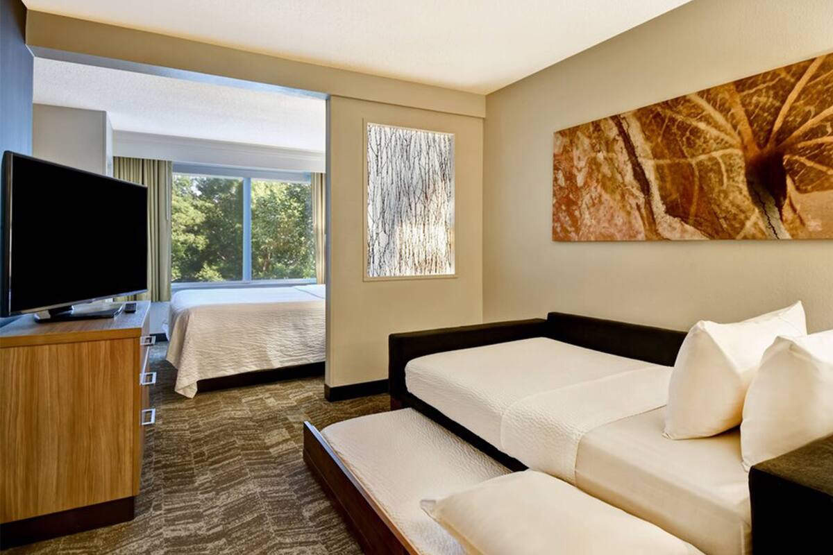 A hotel room with a bed, a sofa, a TV, and a large window offering a view of trees.