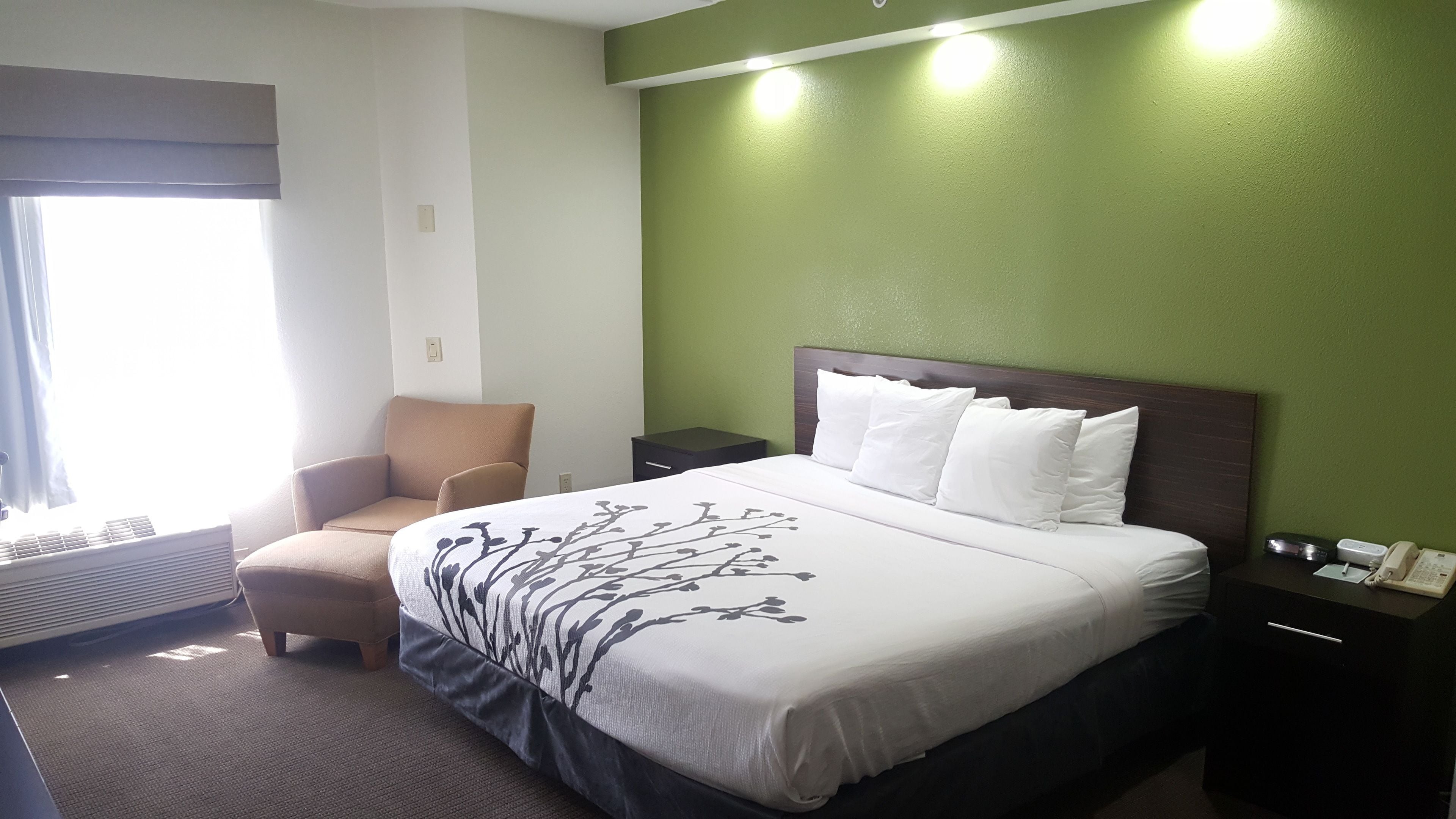 Standard Room, 1 King Bed, Smoking | Desk, iron/ironing board, free WiFi, bed sheets