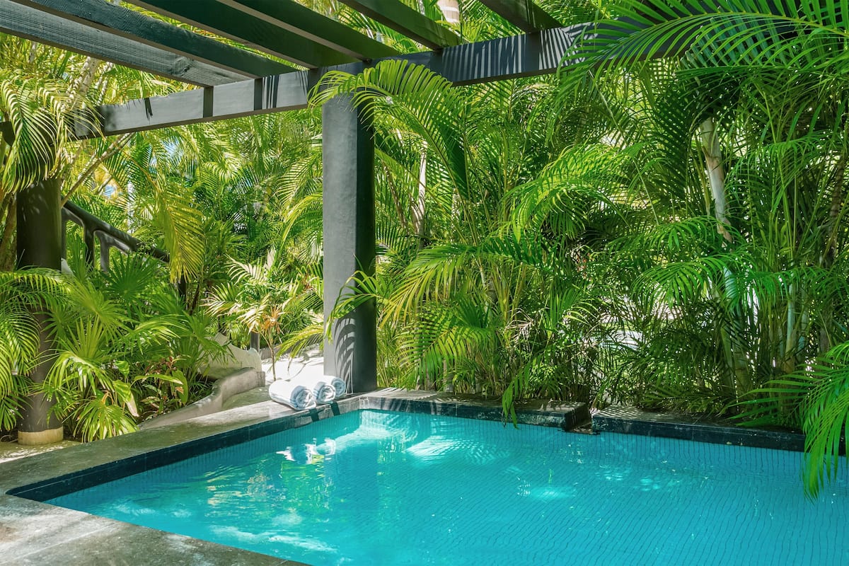 A pool surrounded by lush greenery, with a pergola overhead.