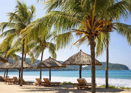 On the beach, sun loungers, beach towels