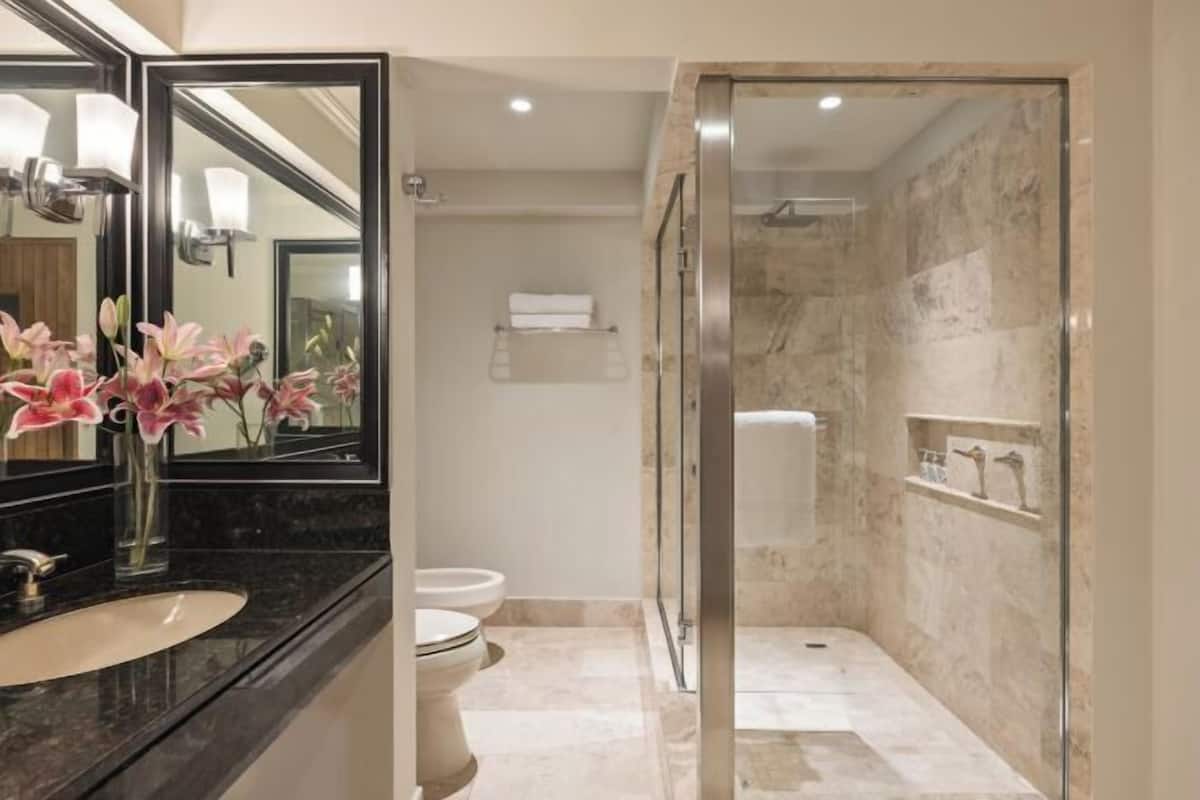 Separate tub and shower, rainfall showerhead, free toiletries