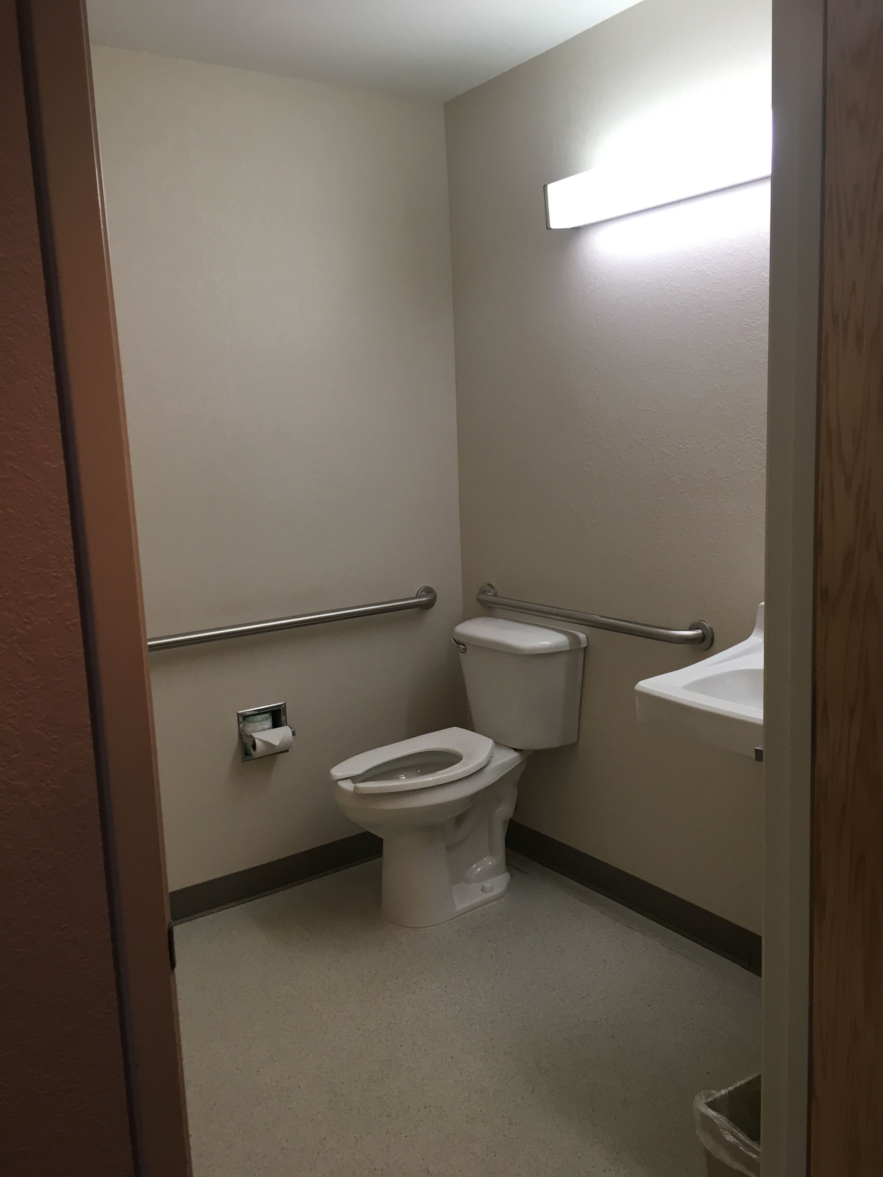 A small, clean bathroom with a toilet, a handrail, and a sink.