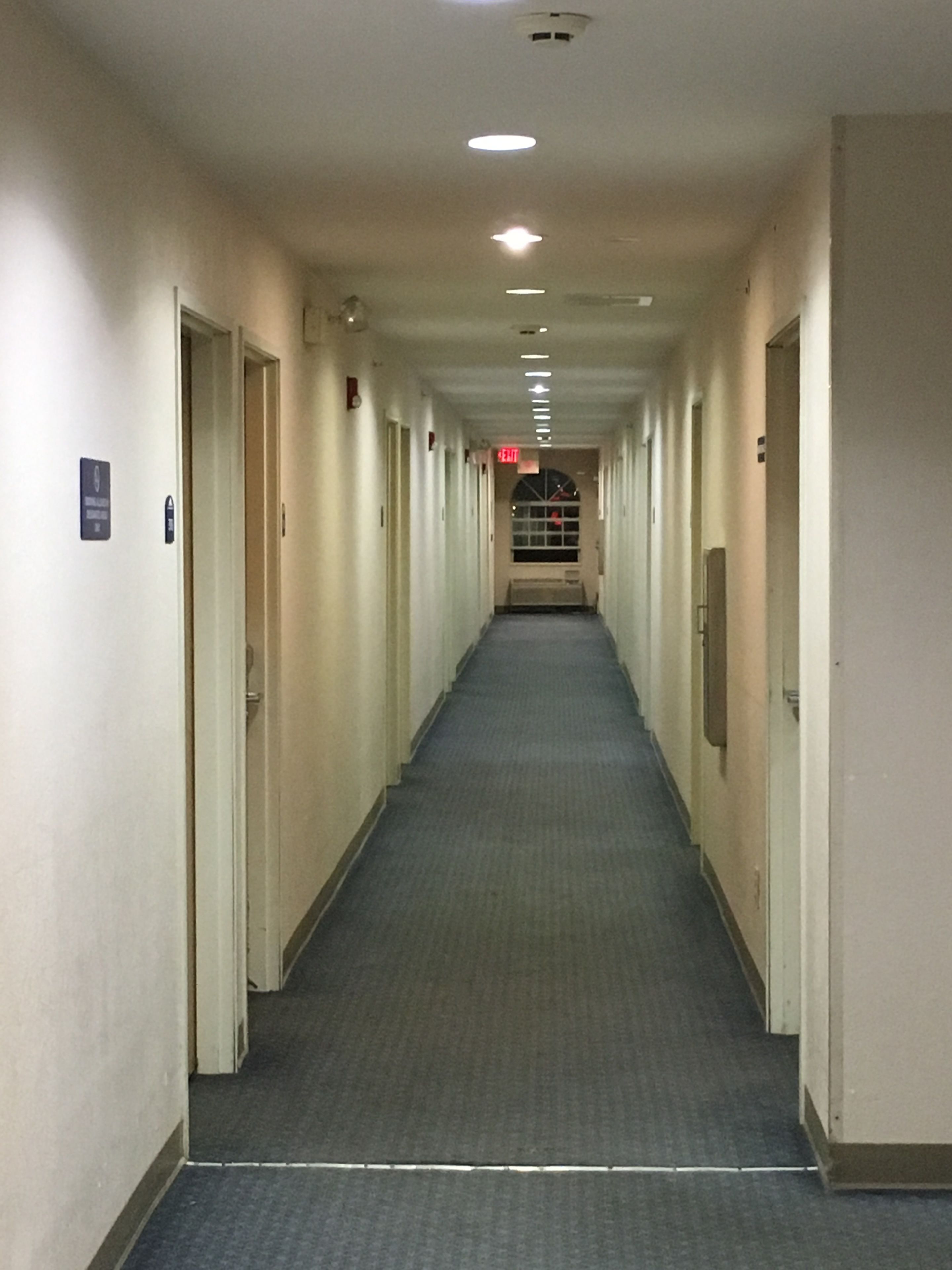Un largo y estrecho pasillo con puertas a ambos lados, piso alfombrado e iluminación empotrada en el techo.