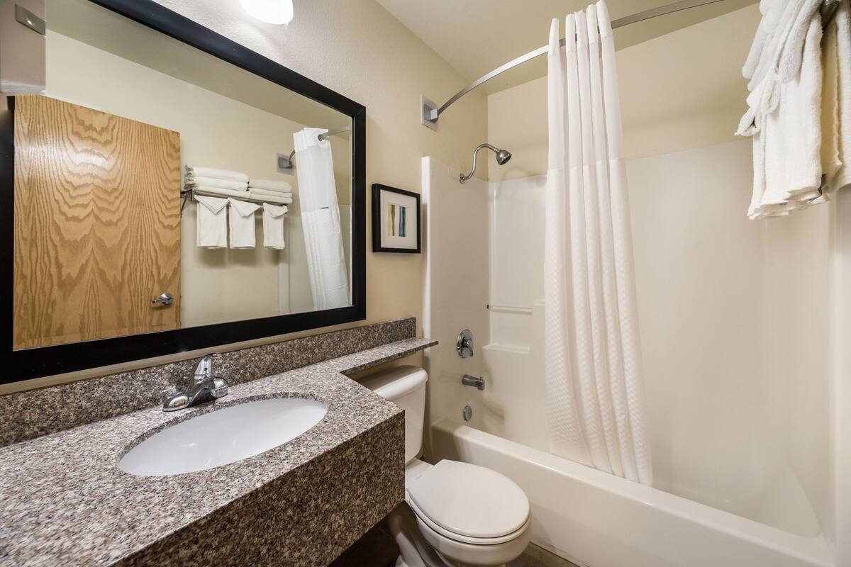 A bathroom with a granite countertop sink, a toilet, a shower with a curtain, and a mirror with a wooden door reflection.