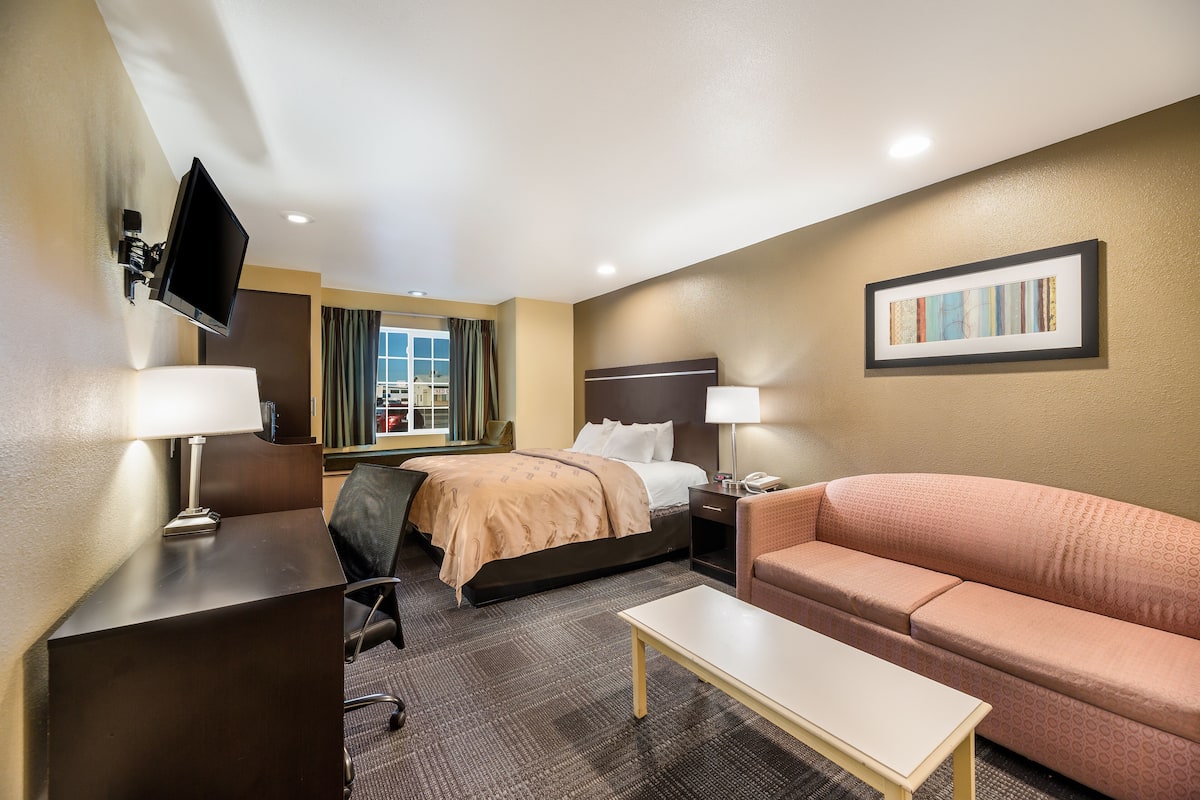 A hotel room with a bed, a desk, a chair, a sofa, a TV, and a window with curtains.