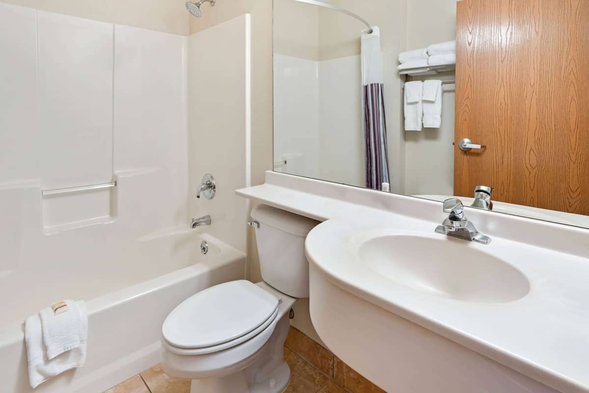 combined shower/bathtub, free toiletries, hair dryer, towels