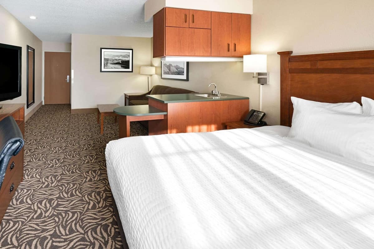 Premium bedding, in-room safe, desk, blackout curtains