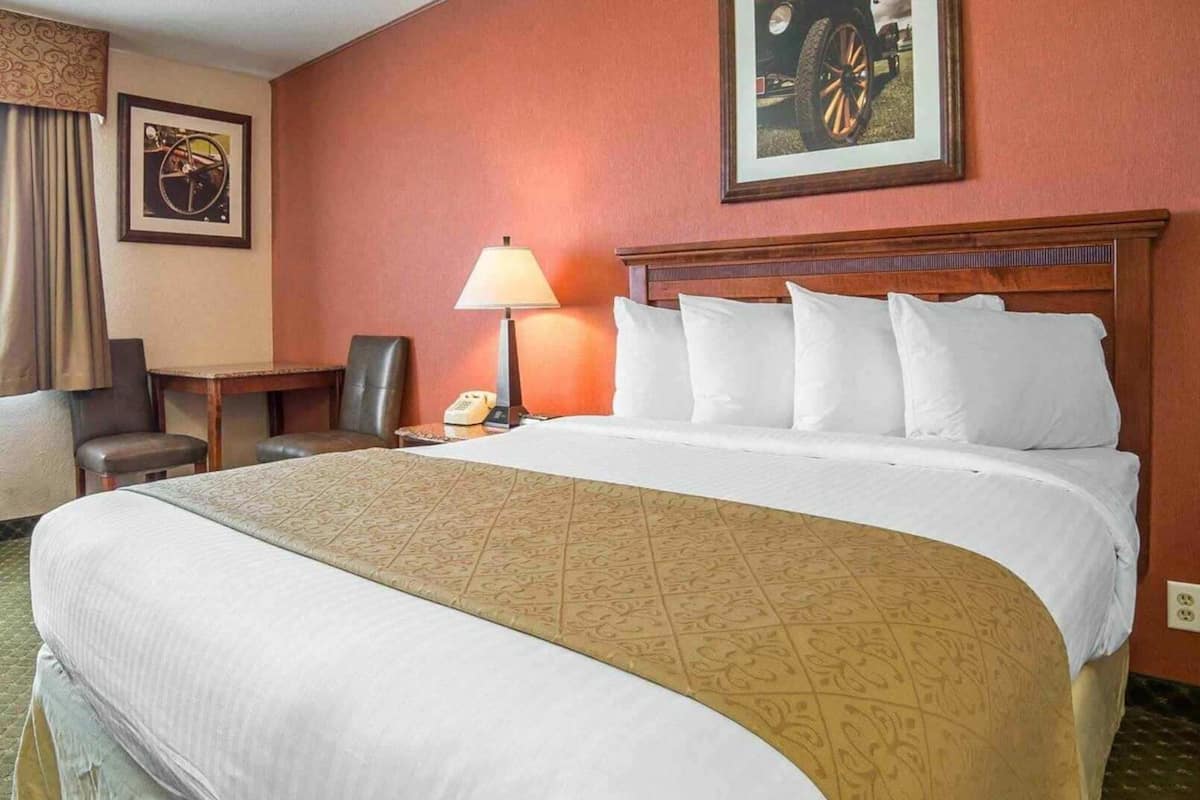 Iron/ironing board, free cribs/infant beds, rollaway beds, free WiFi