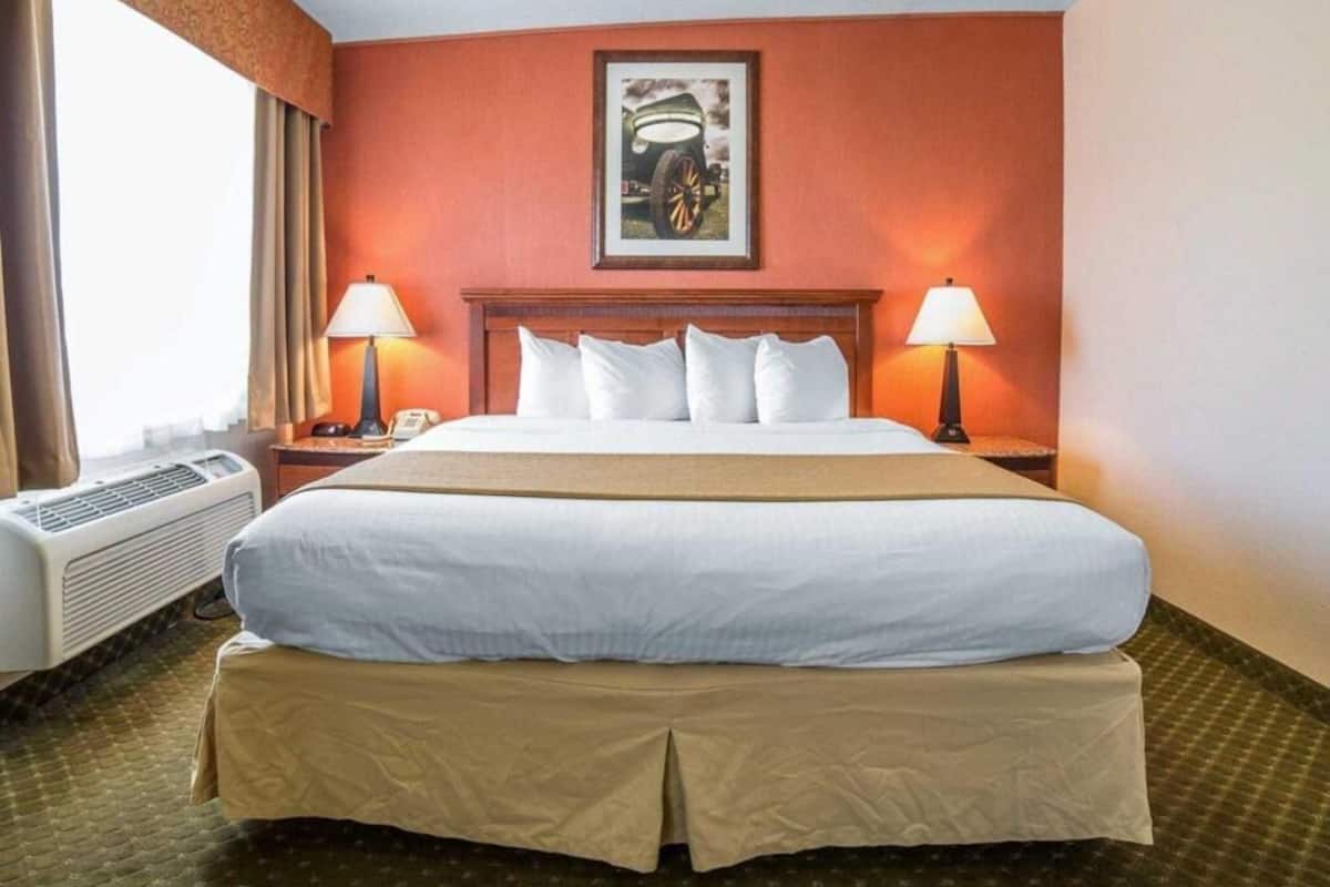 Iron/ironing board, free cribs/infant beds, rollaway beds, free WiFi