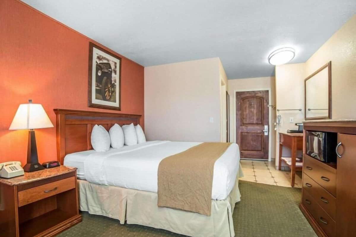 A hotel room with a bed, bedside table with a lamp, a dresser, a door, and a framed picture on the wall.