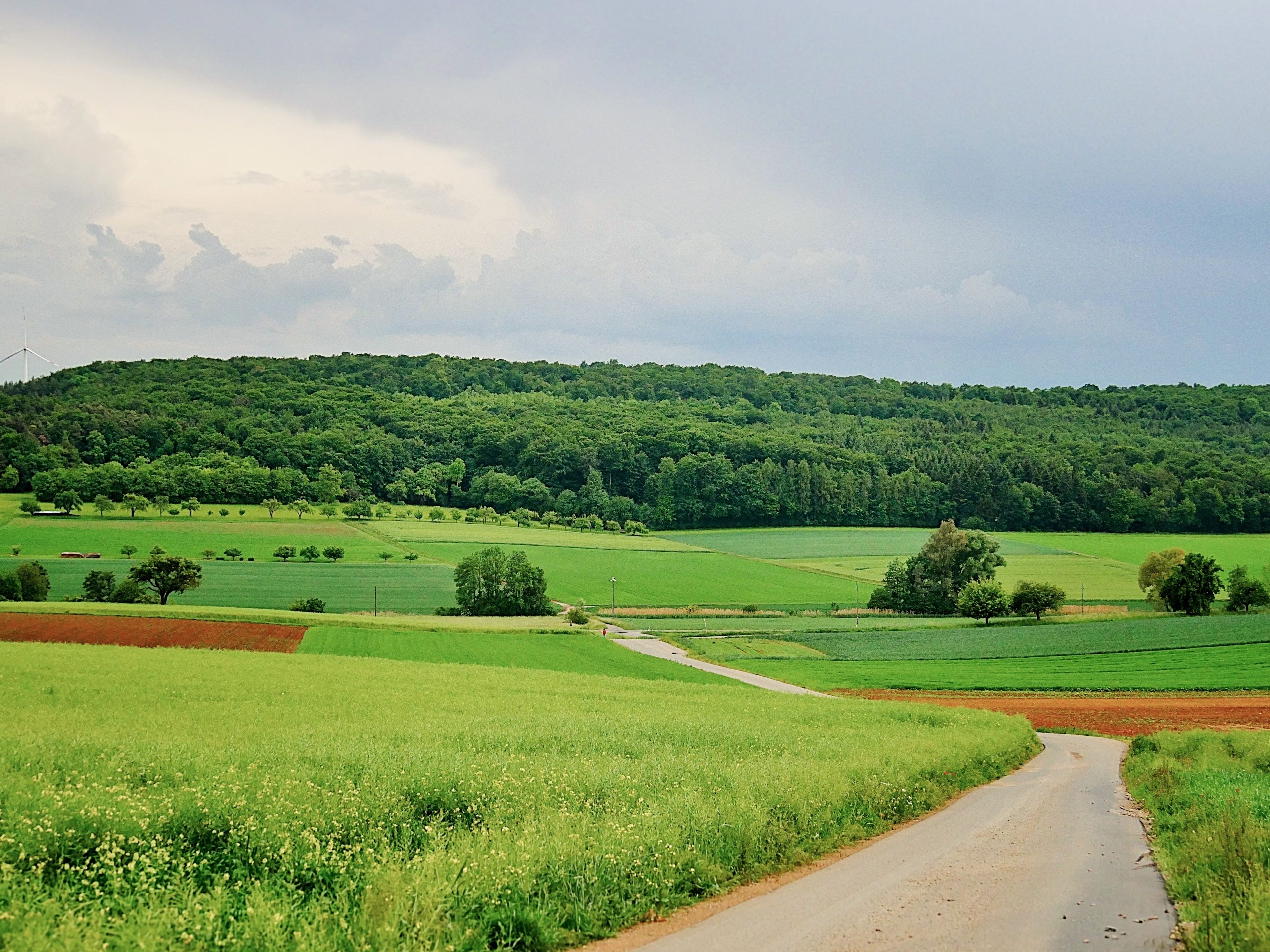 land view from property