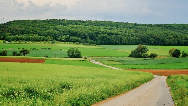 Ländliche Landschaft mit einer gewundenen Straße, grünen Feldern und einem bewaldeten Hügel im Hintergrund.