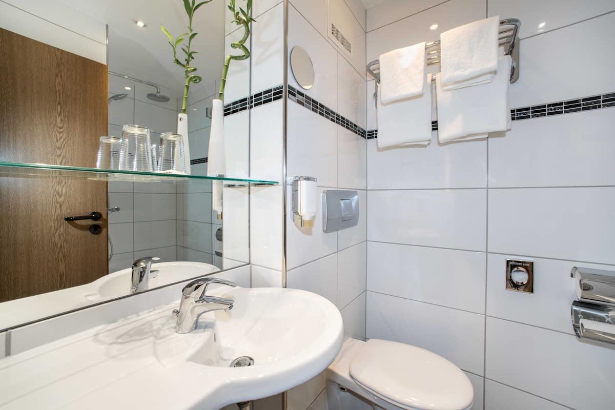 shower, free toiletries, hair dryer, towels