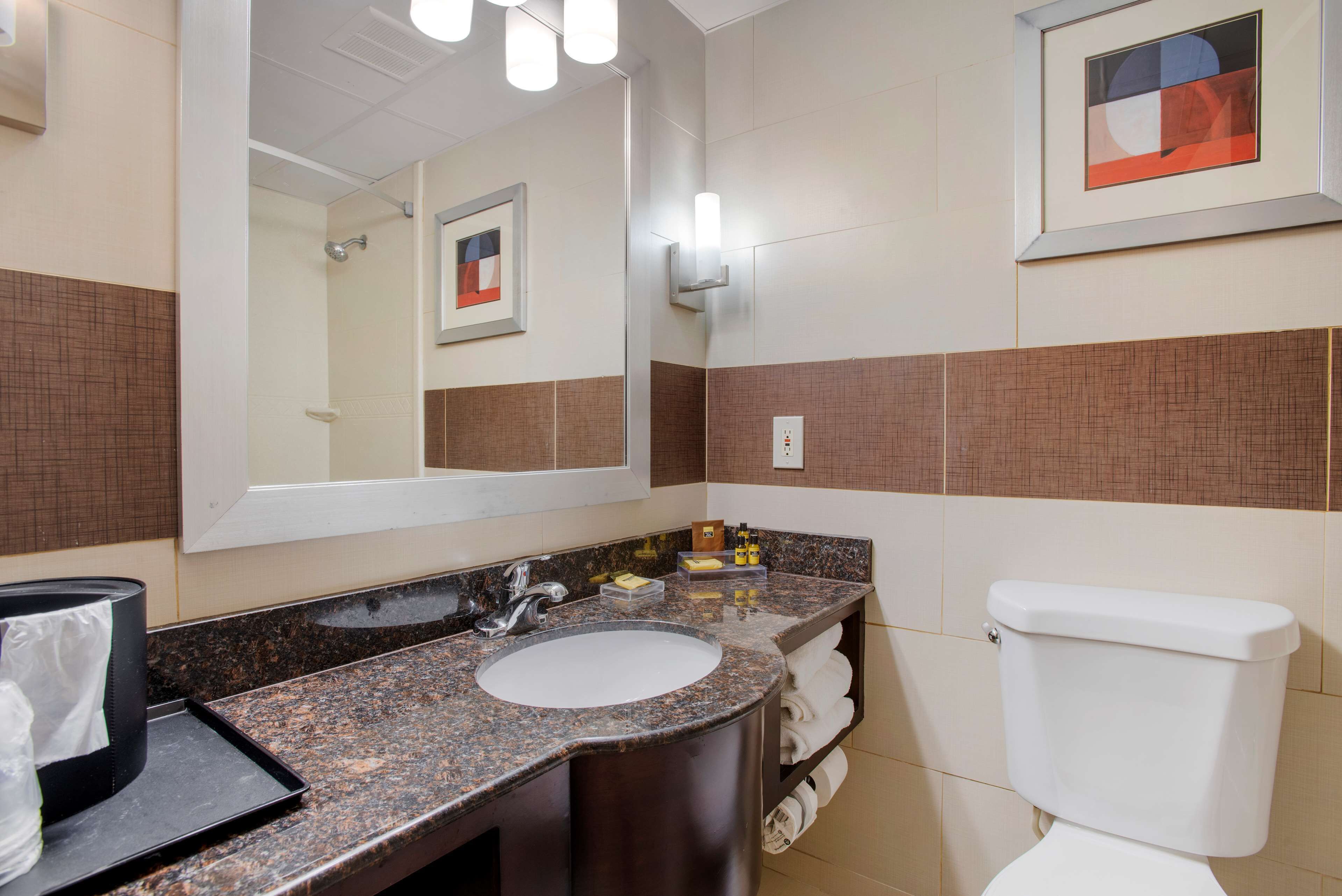 A bathroom with a sink, mirror, and toilet.