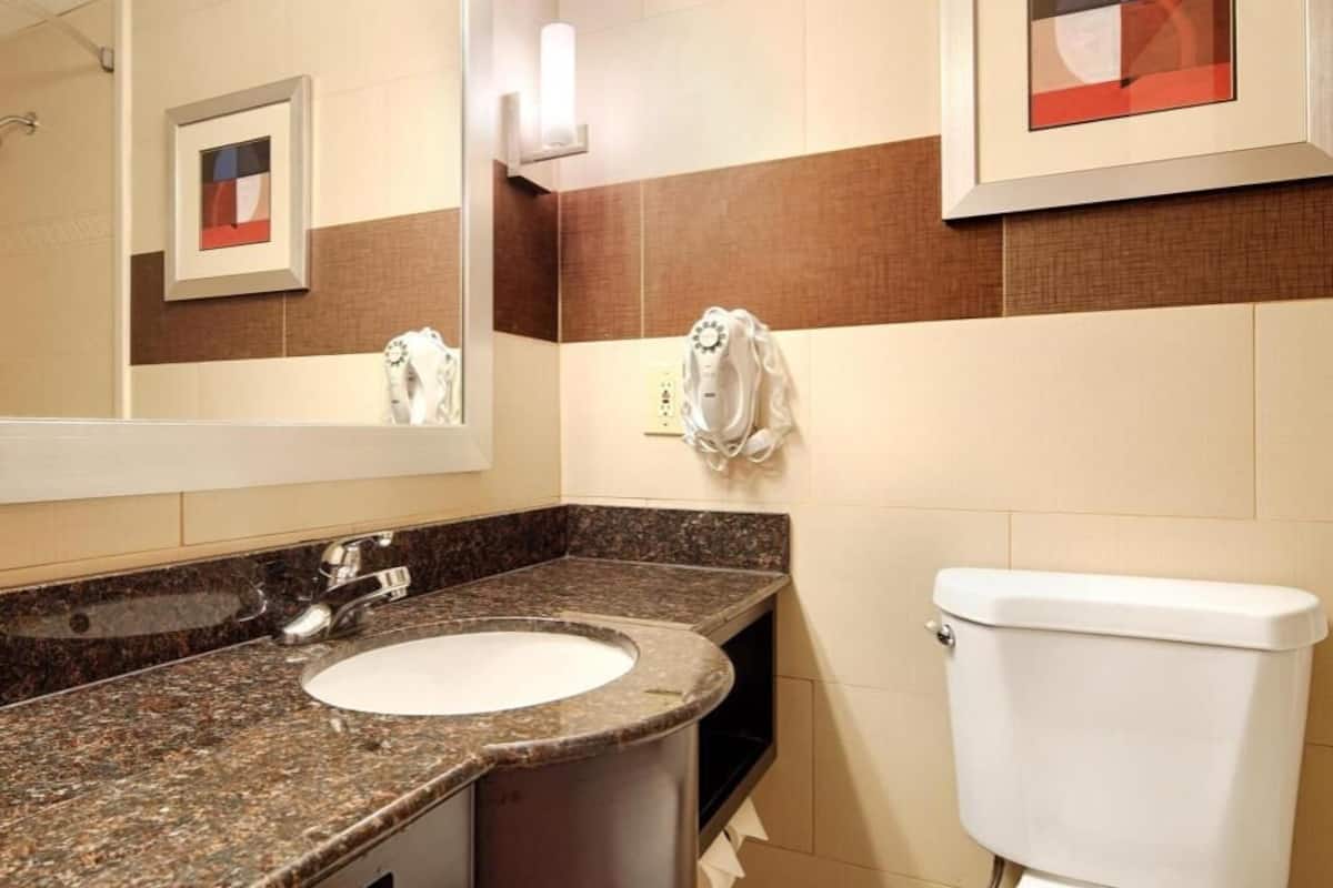 Bathroom | Combined shower/tub, free toiletries, hair dryer, towels