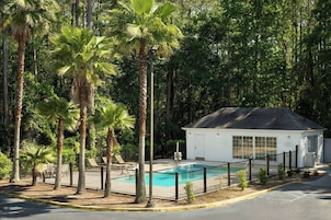 Seasonal outdoor pool, open 9:00 AM to 9:00 PM, sun loungers
