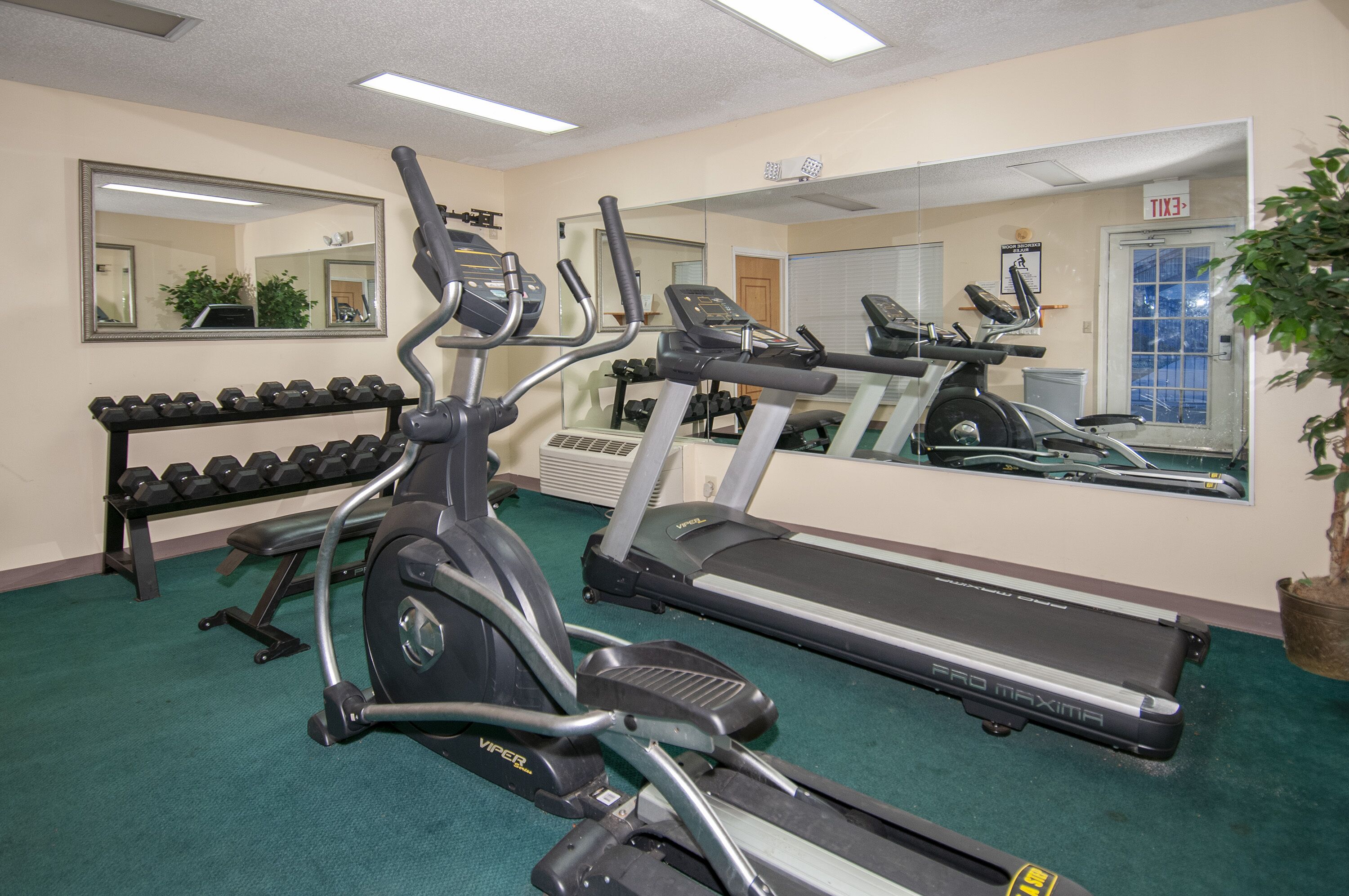 Une salle de sport équipée de tapis de course, d’haltères et d’un banc de musculation.