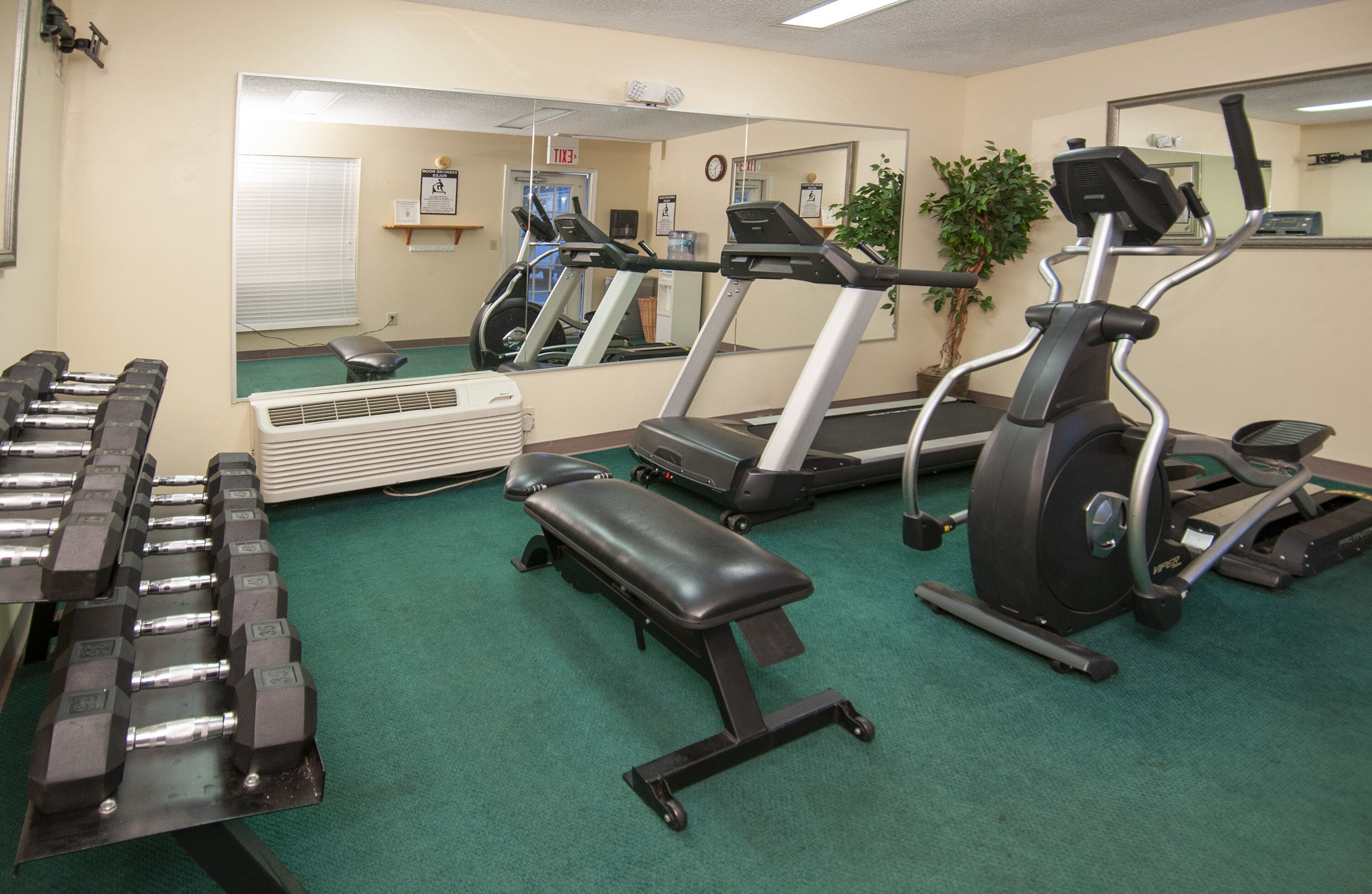 Un gimnasio con cintas de correr, mancuernas y un banco.