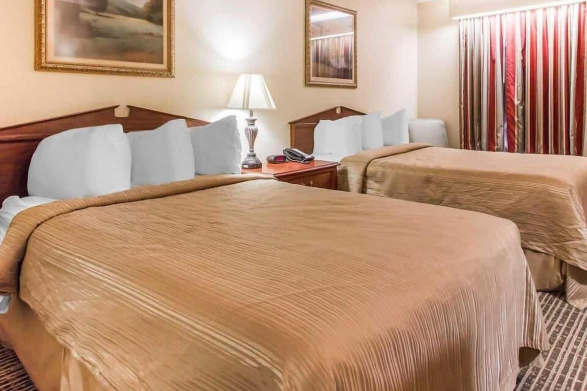Quarto de hotel com duas camas, uma mesa de cabeceira, uma luminária, um telefone e um quadro na parede.