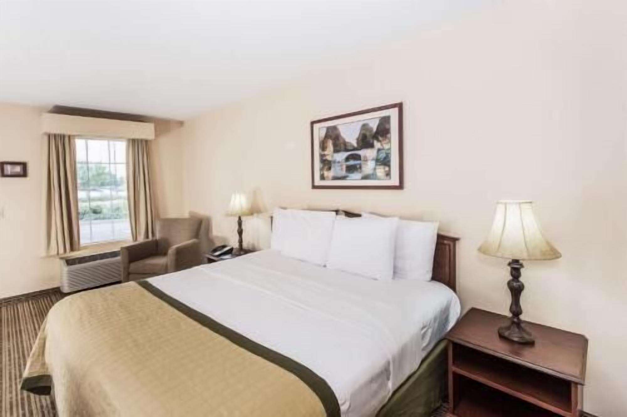 Hochwertige Bettwaren, Schreibtisch, Verdunkelungsvorhänge