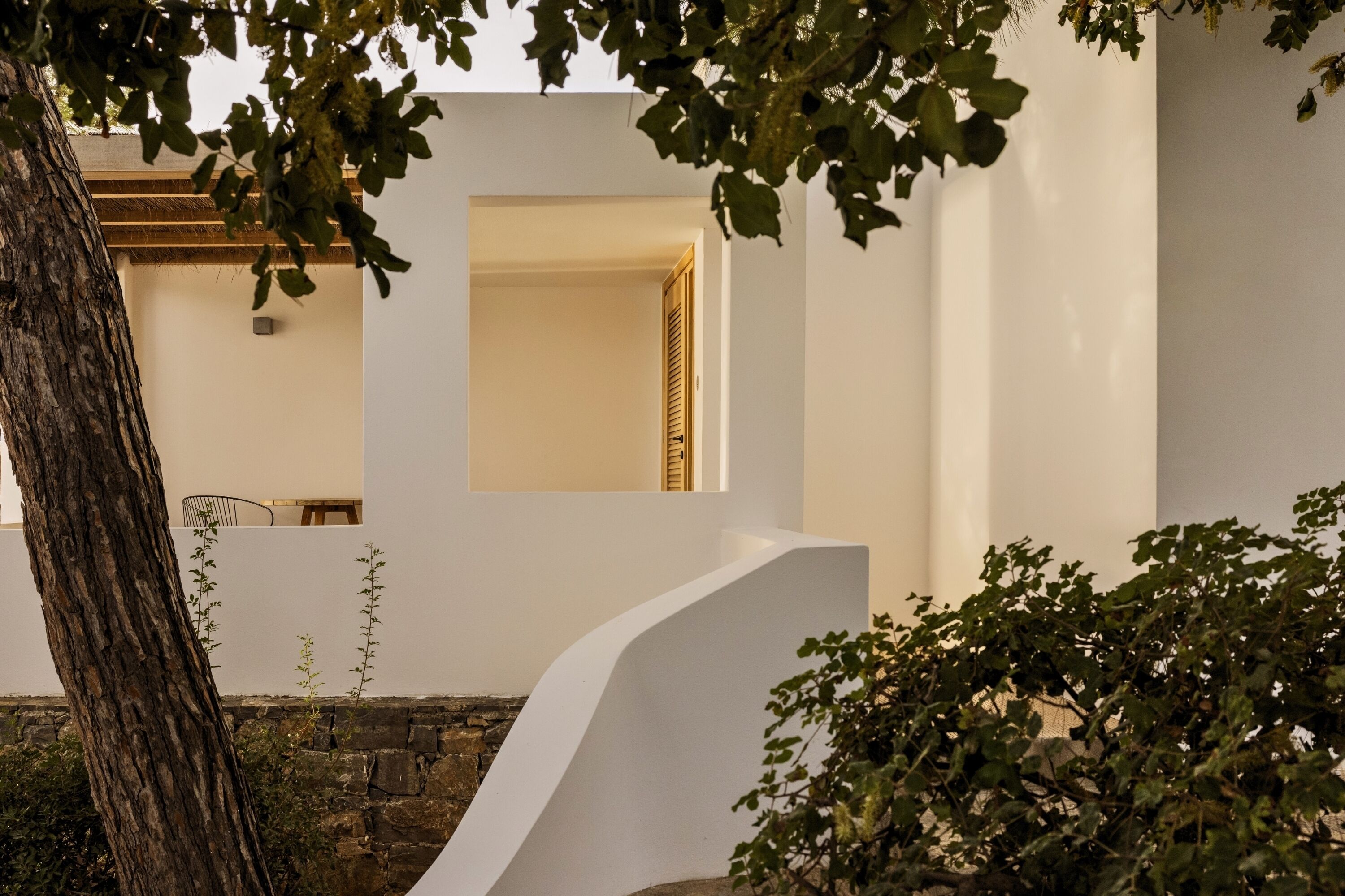 Un edificio moderno con fachada blanca, un muro de piedra y un árbol en primer plano.