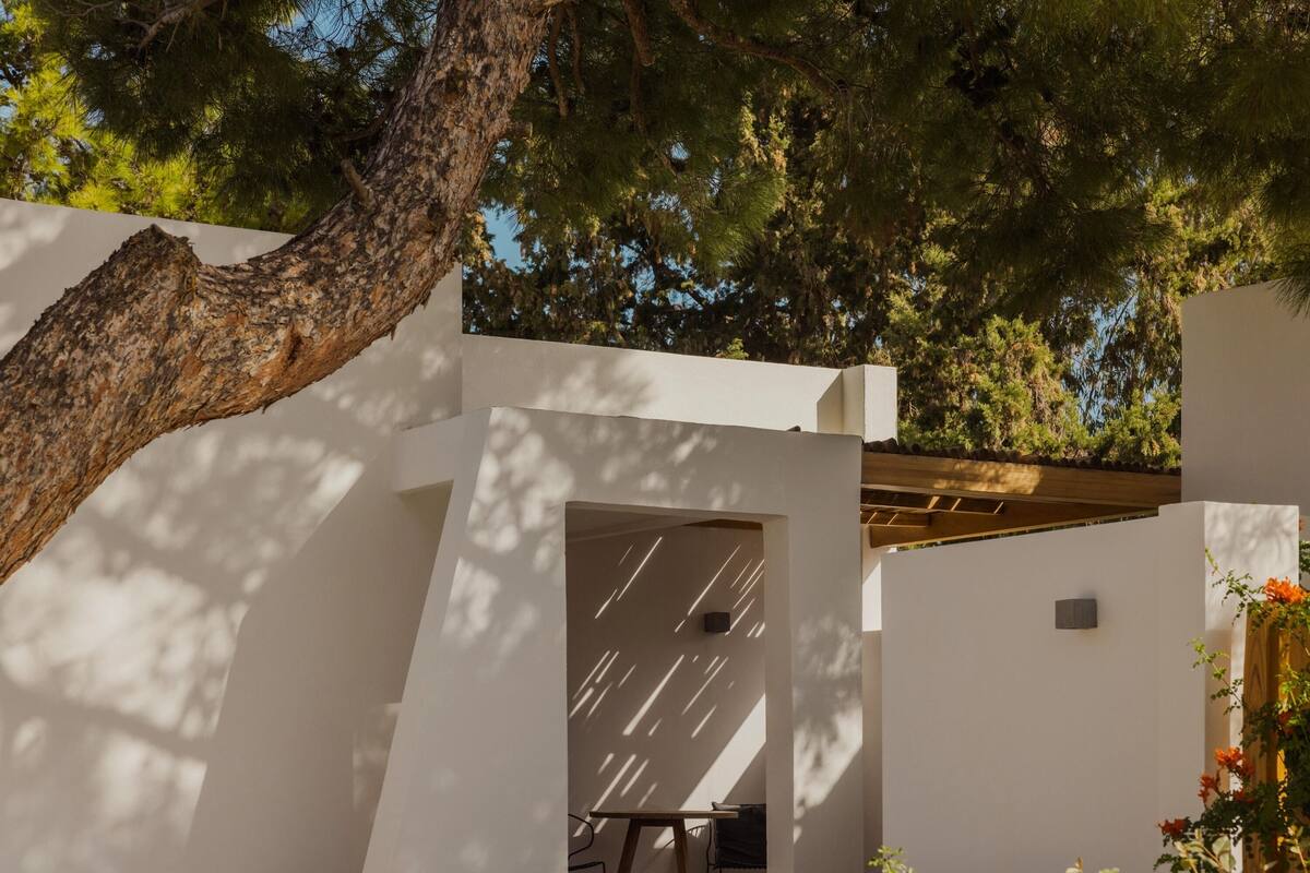 Un edificio moderno con fachada blanca, una pérgola de madera y un árbol que proyecta sombras sobre las paredes.