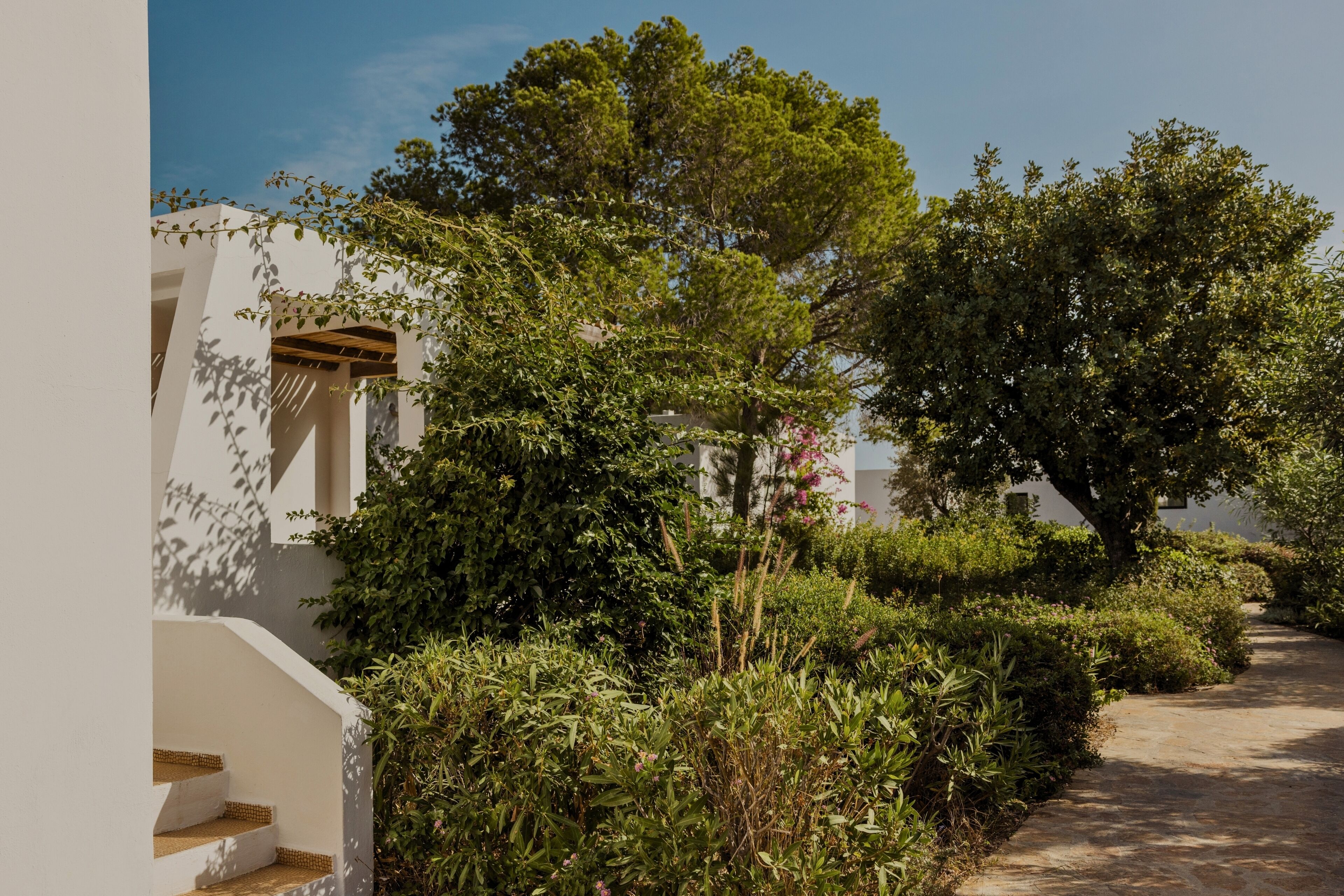 nature superior bungalow | view from room