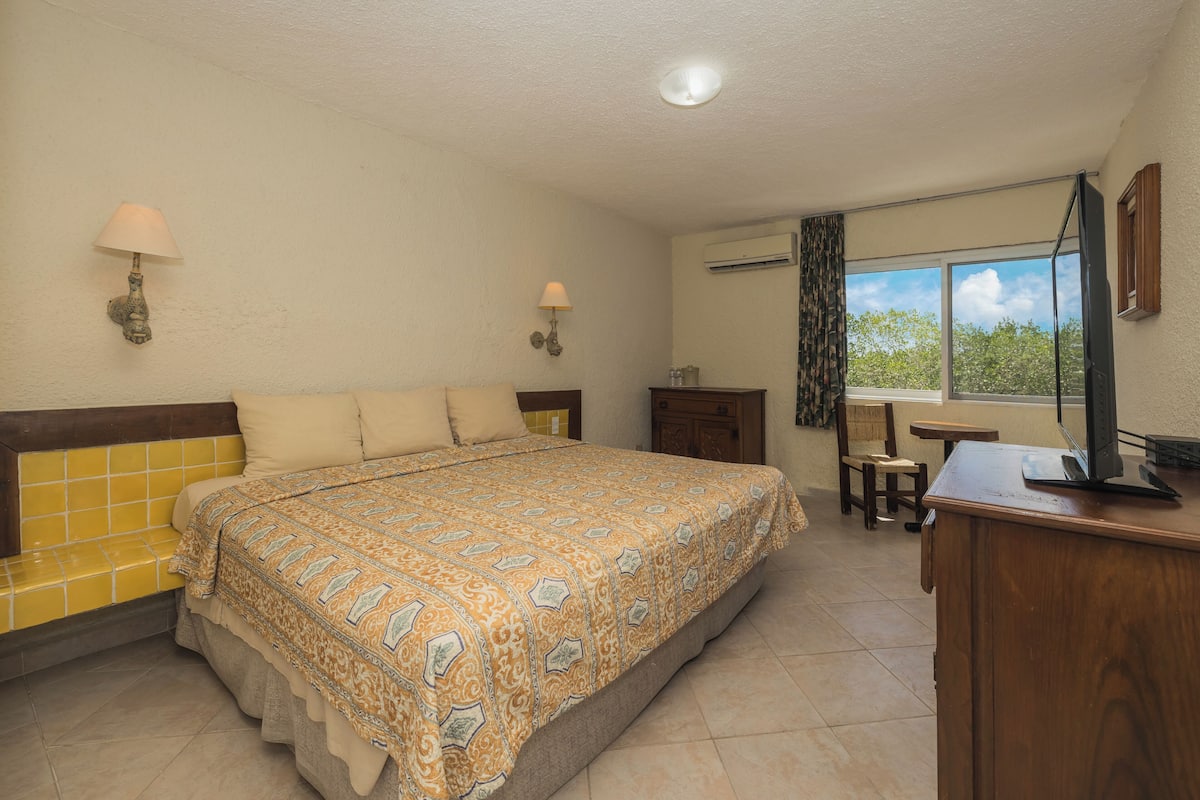 Une chambre d’hôtel avec un lit, un bureau, une chaise, une télévision et une fenêtre avec des rideaux.