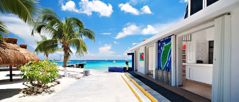 Un hotel frente a la playa con una estructura de techo de paja, palmeras y una vista despejada del océano.