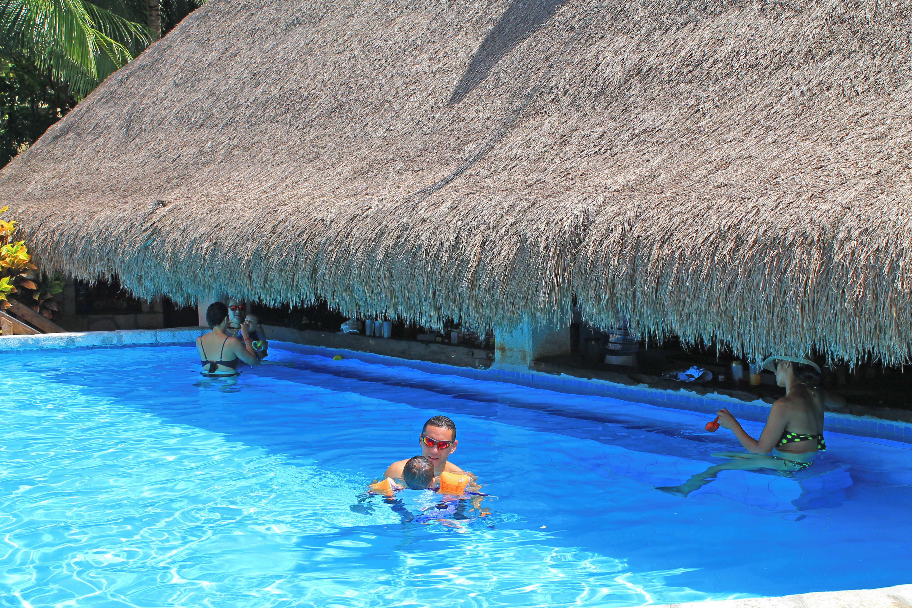 Una piscina con una estructura de techo de paja al fondo.
