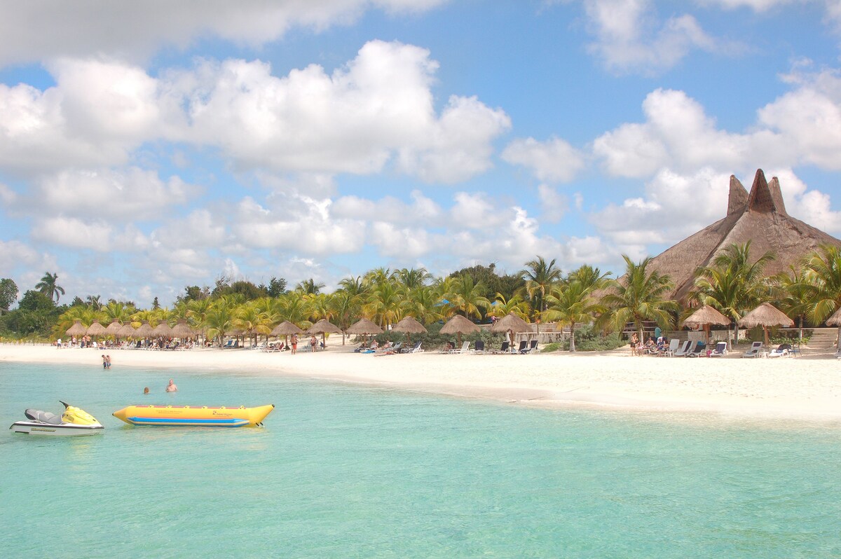 A crystal blue beach lined with luscious palm trees and white sand is perfect for water sports at Casa del Mar Dive Resort.
