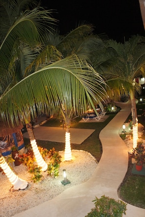 Vista nocturna de un jardín con palmeras, un sendero serpenteante e iluminación decorativa.
