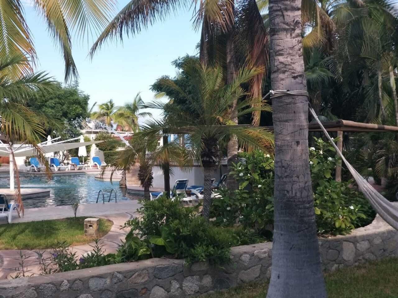 Zona de piscina con sillones de descanso, palmeras y una hamaca.