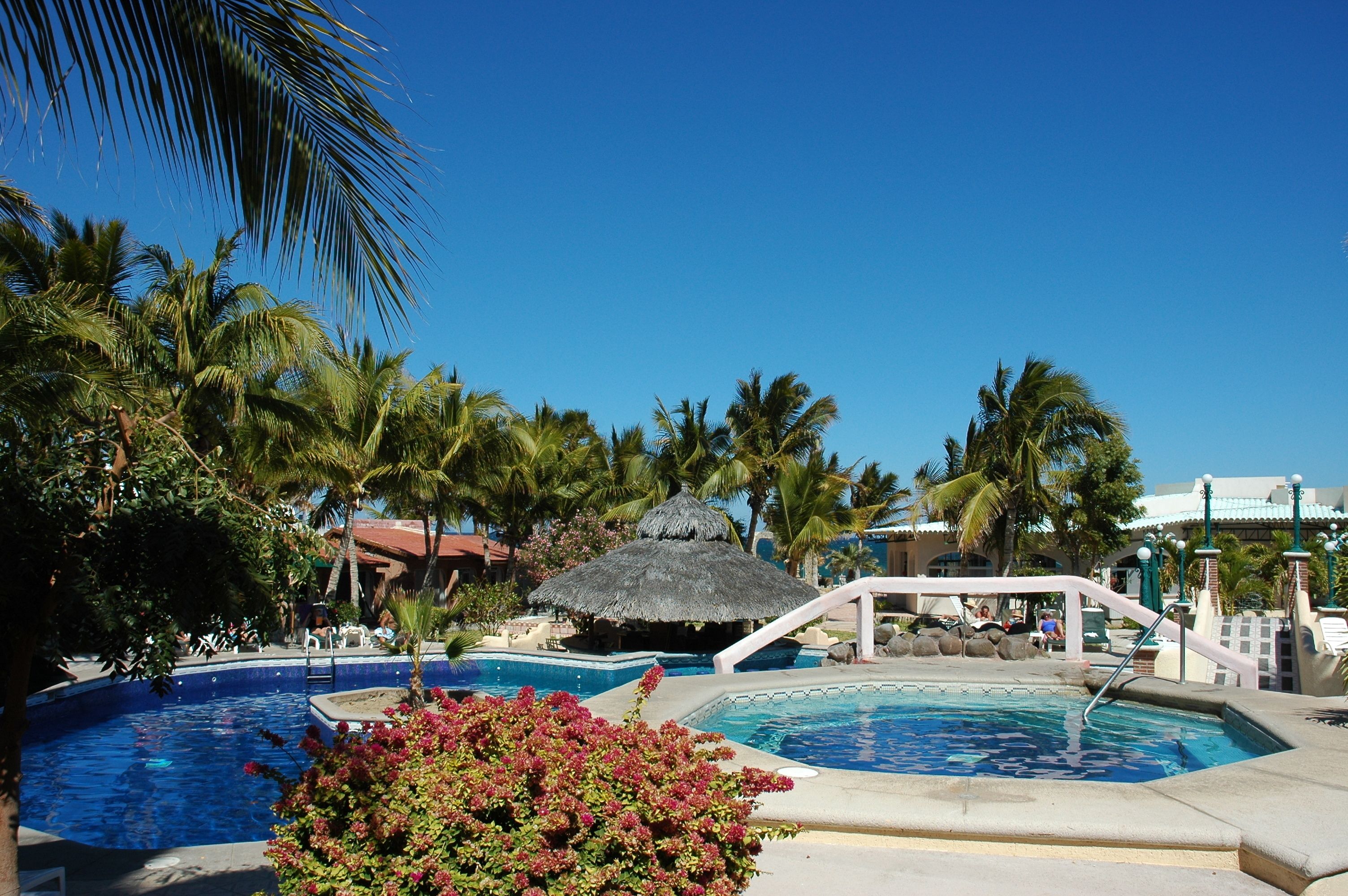 Outdoor pool, pool umbrellas, pool loungers