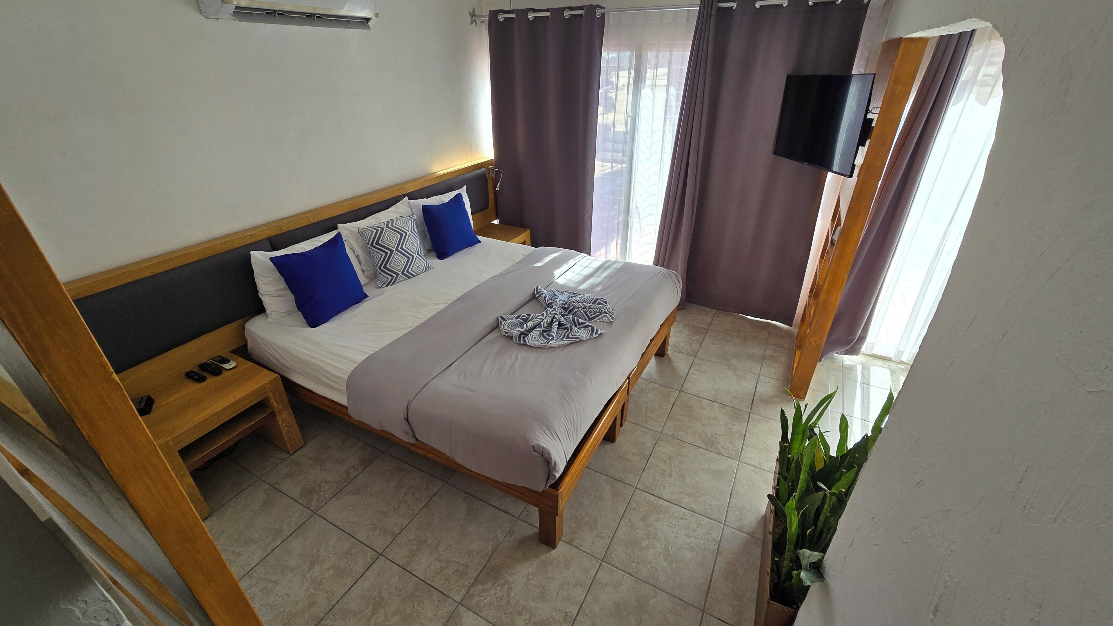 A neatly arranged bedroom with a bed, bedside tables, a TV, and a potted plant.