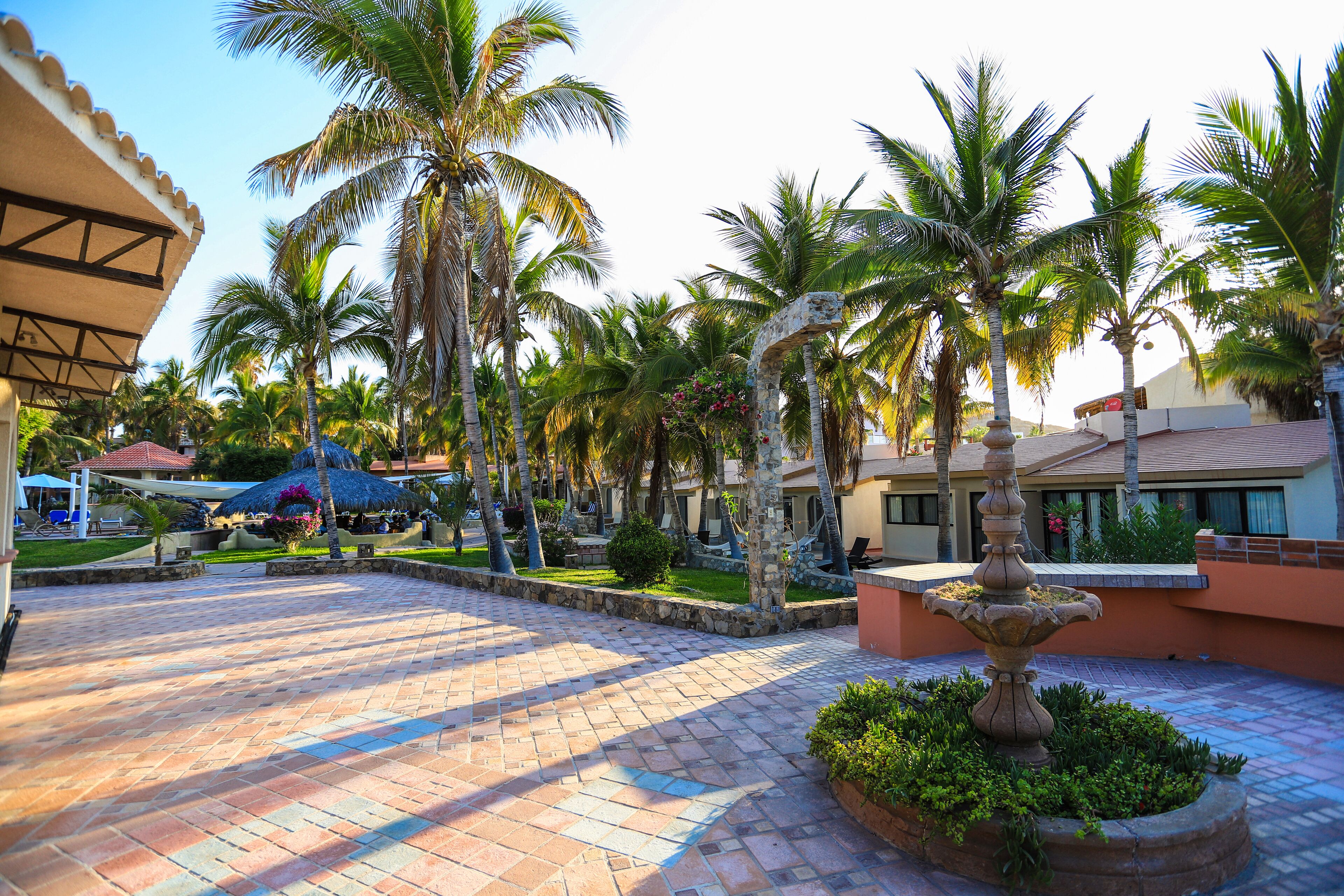 A courtyard with palm trees, a fountain, and a thatched-roof structure.