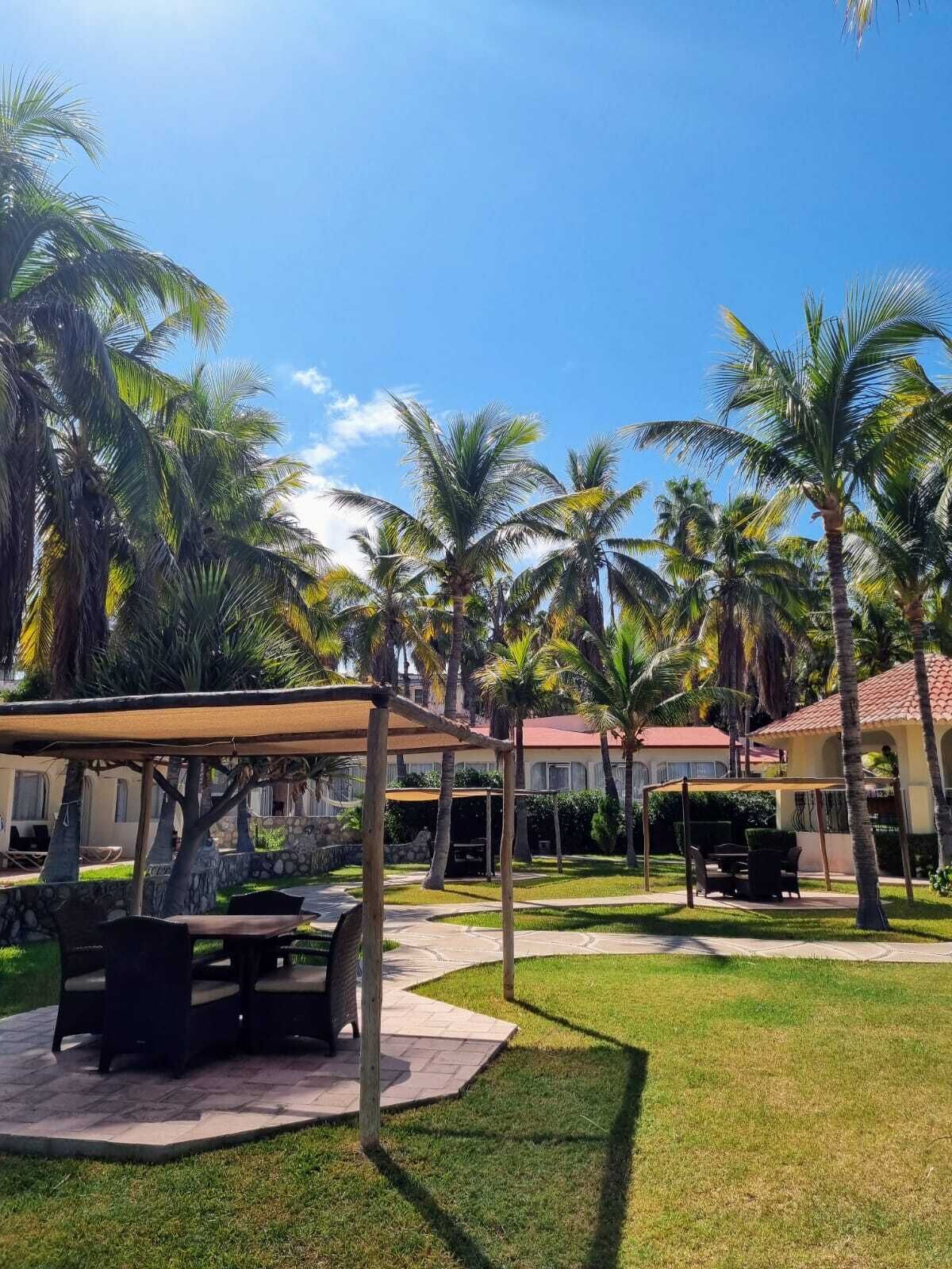 A tropical outdoor area with palm trees, a covered seating area, and a building with a red roof.