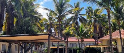 A tropical outdoor area with palm trees, a covered seating area, and a building with a red roof.