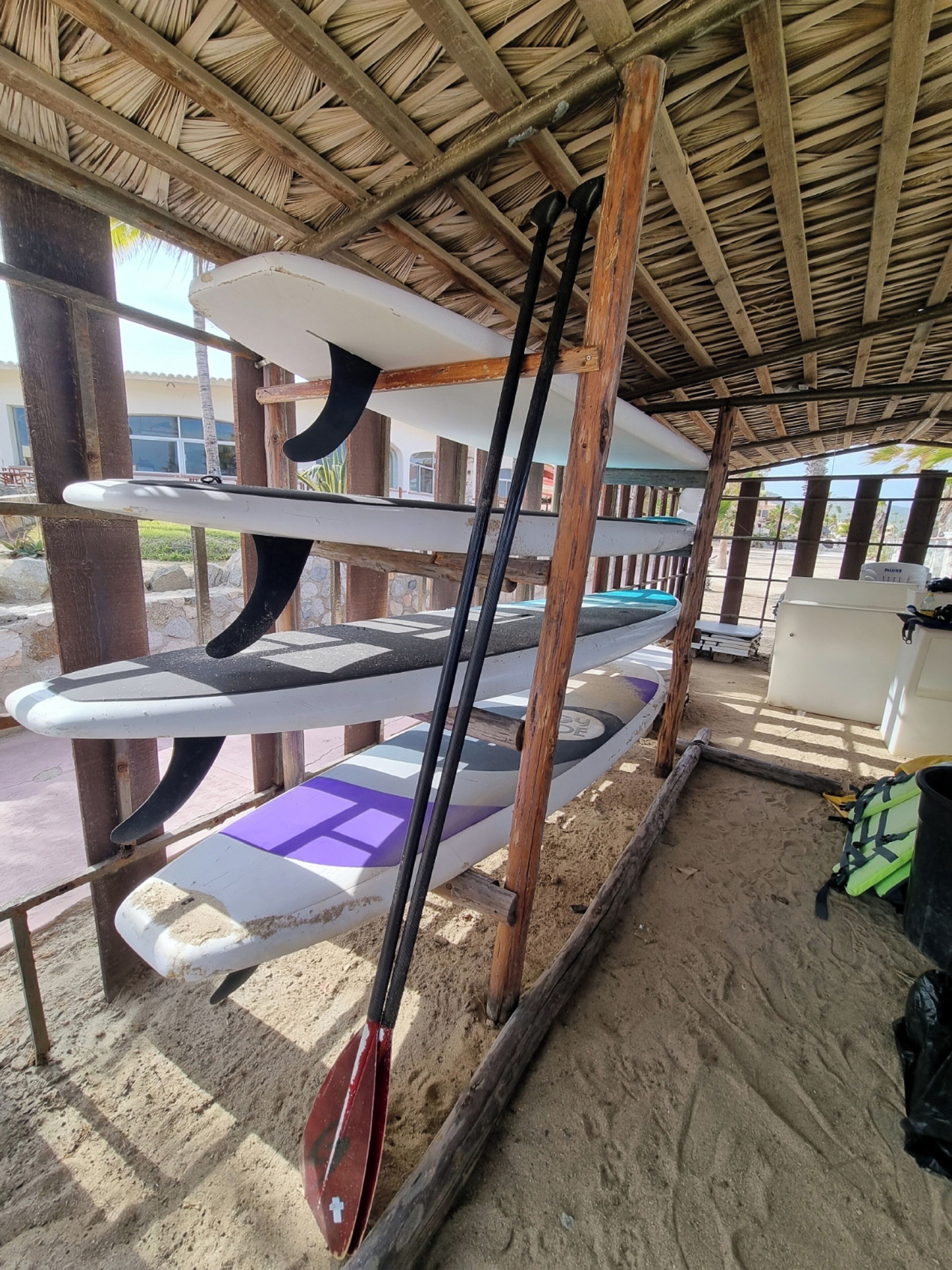 Zona techada con varias tablas de surf y palas colgadas en estantes de madera.