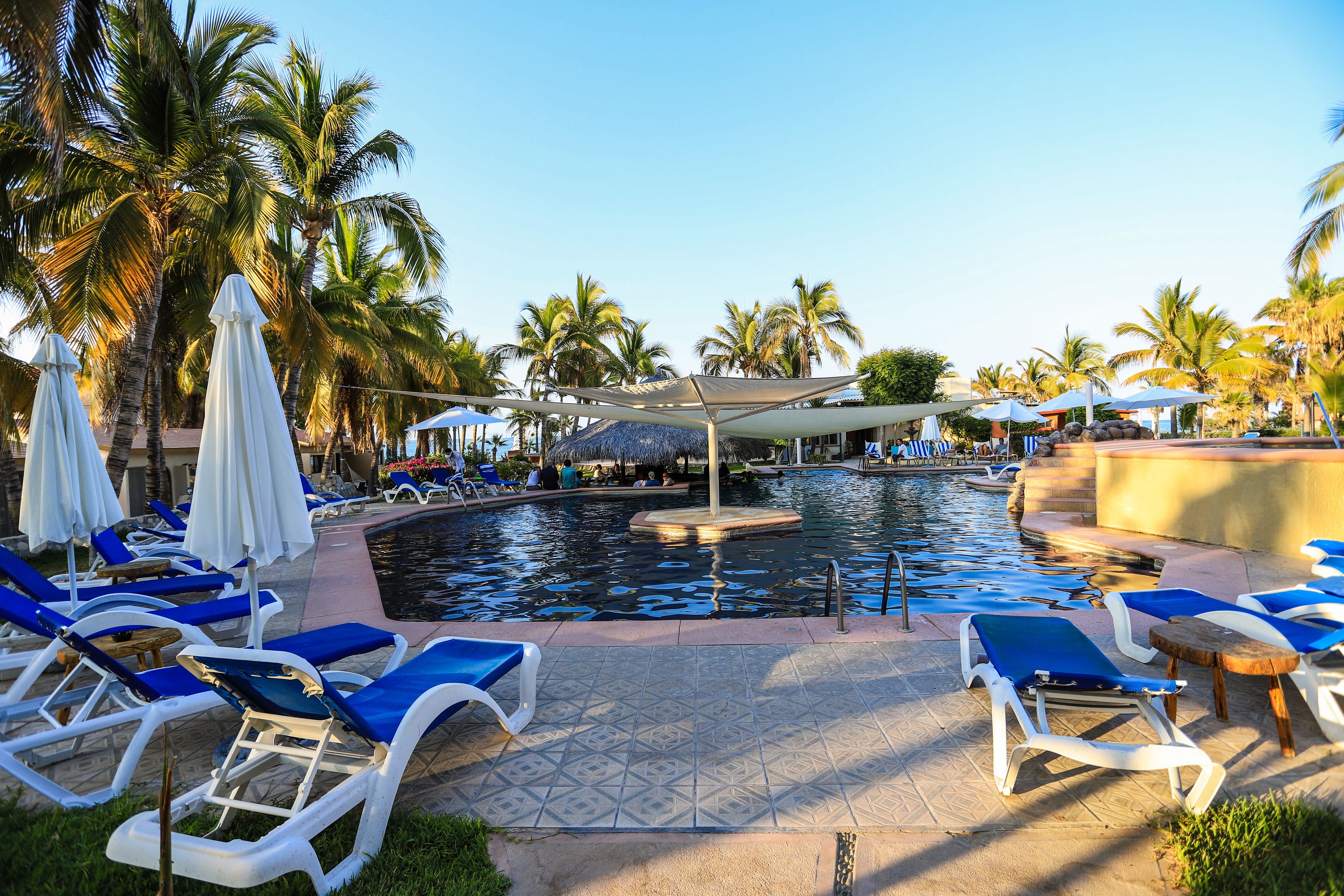 A poolside area with lounge chairs, umbrellas, and palm trees.